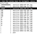 Dominate Disk Space Issues With The Ultimate Tool: “ncdu"